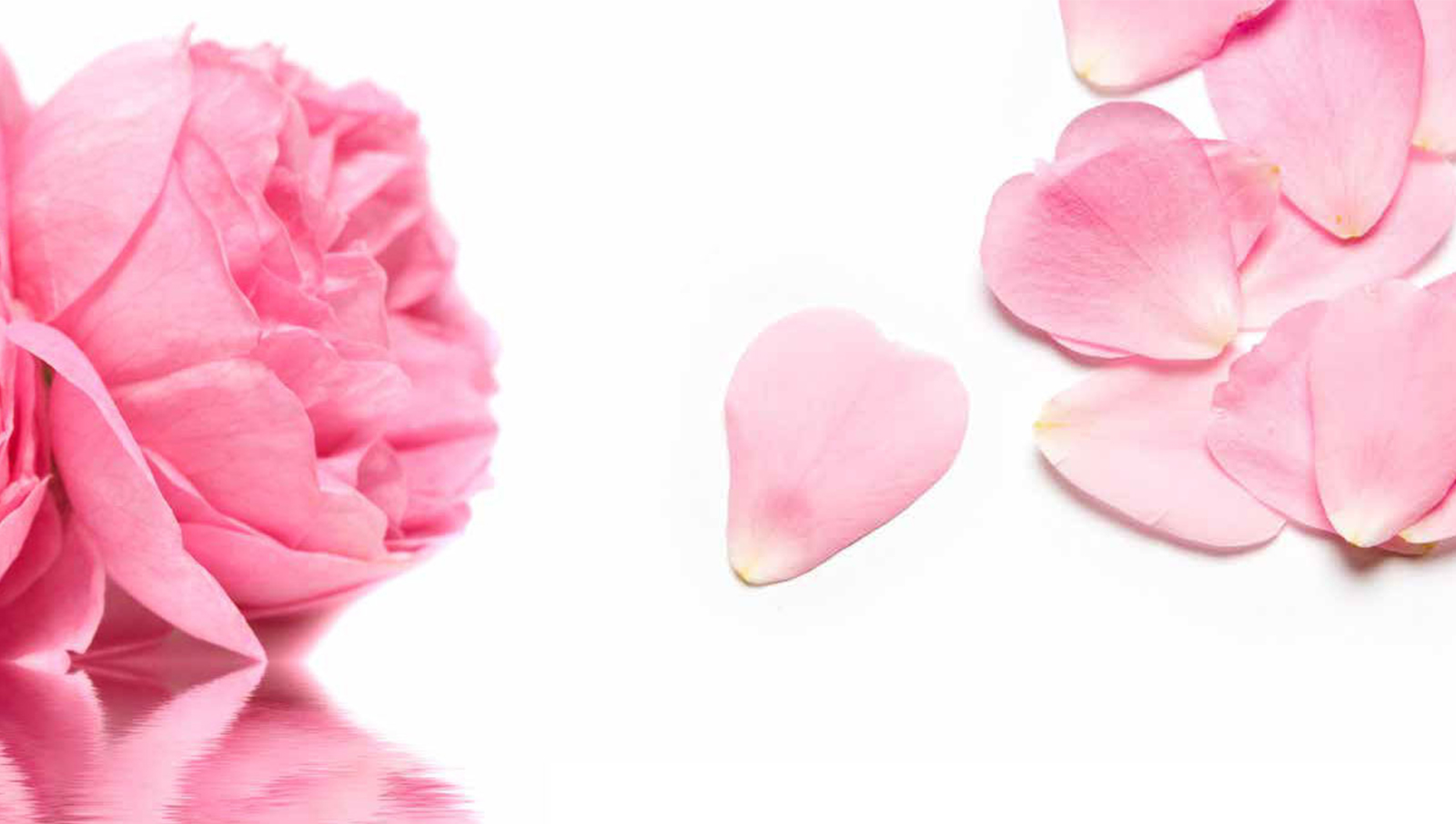 petali di rosa essiccati cosmetici